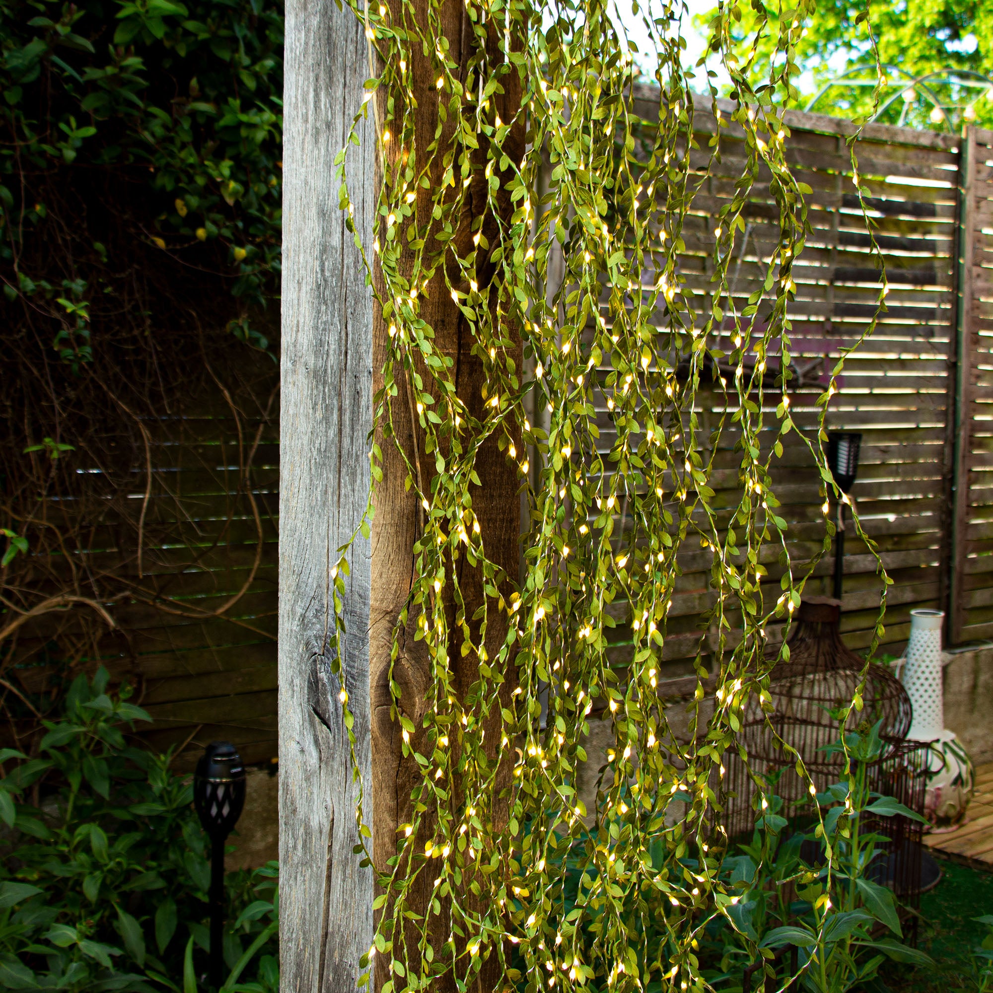 Cascade végétale